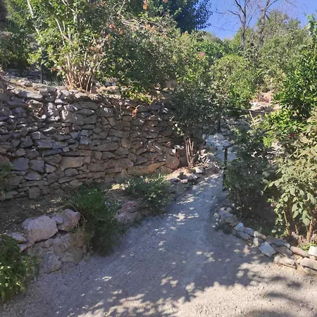 בית נופש πέτρινο αλώνι
