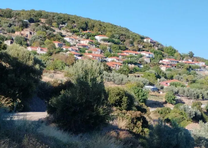 πέτρινο αλώνι *